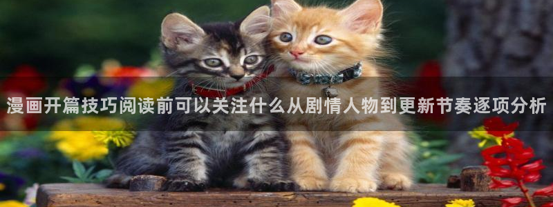 樱花日语考试:漫画开篇技巧阅读前可以关注什么从剧情人物到更新节奏逐项分析
