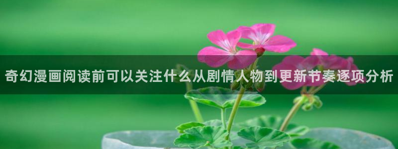 樱花日语词汇大全：奇幻漫画阅读前可以关注什么从剧情人物到更新节奏逐项分析